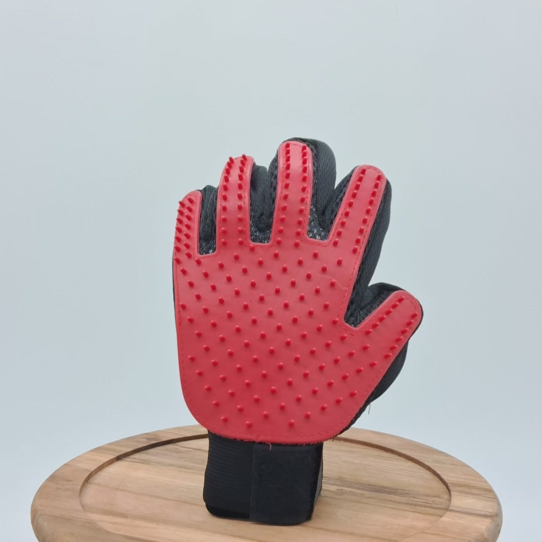 Grooming Glove